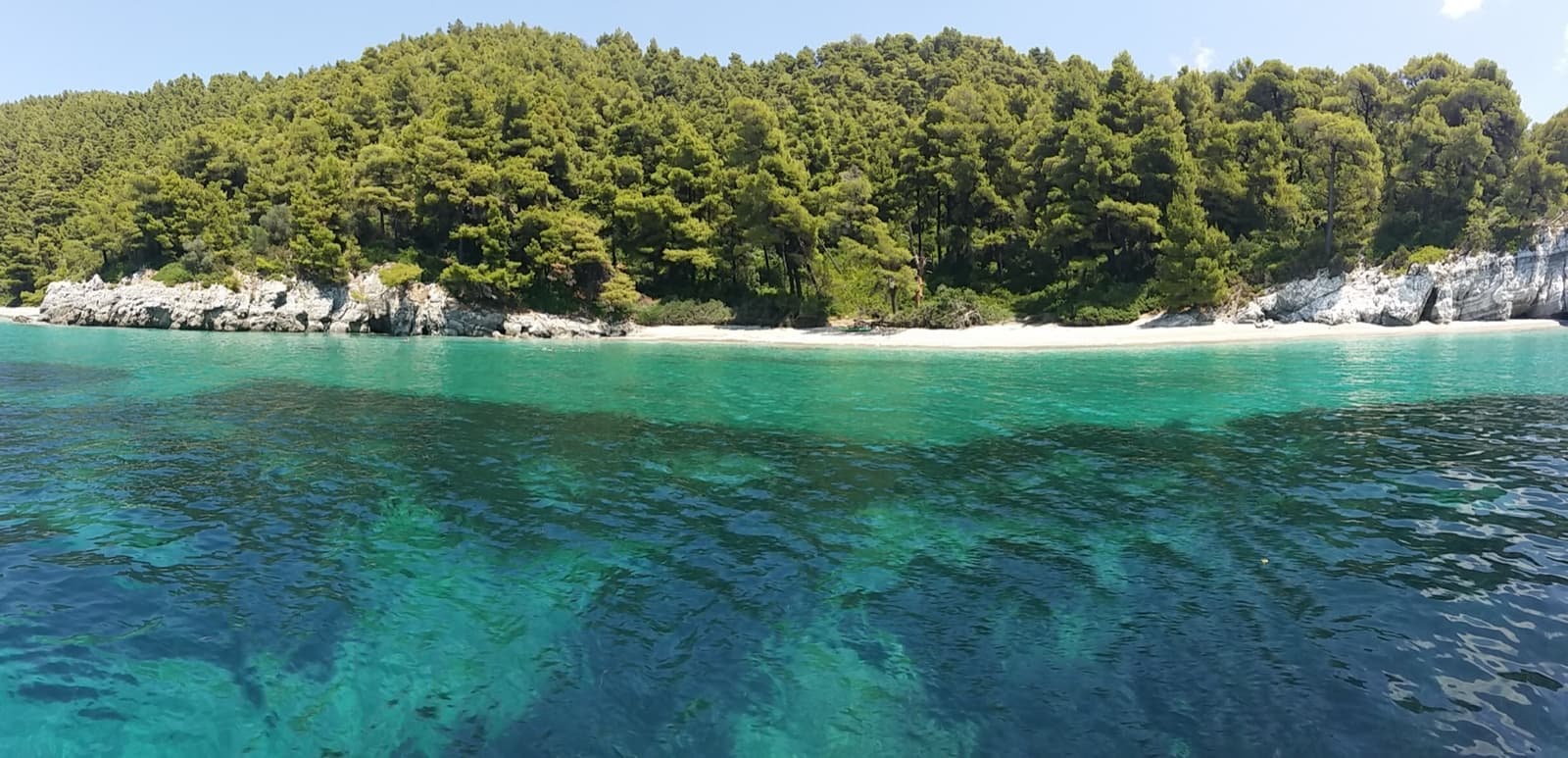 A curve of pale sand under pine woods, the water clear green and blue