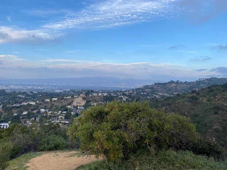 A hazy view of the Los Angeles basin from a hillside overlook