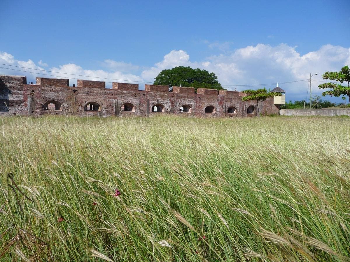 A long red-brick fort wall with gun ports behind tall green grass under a blue sky