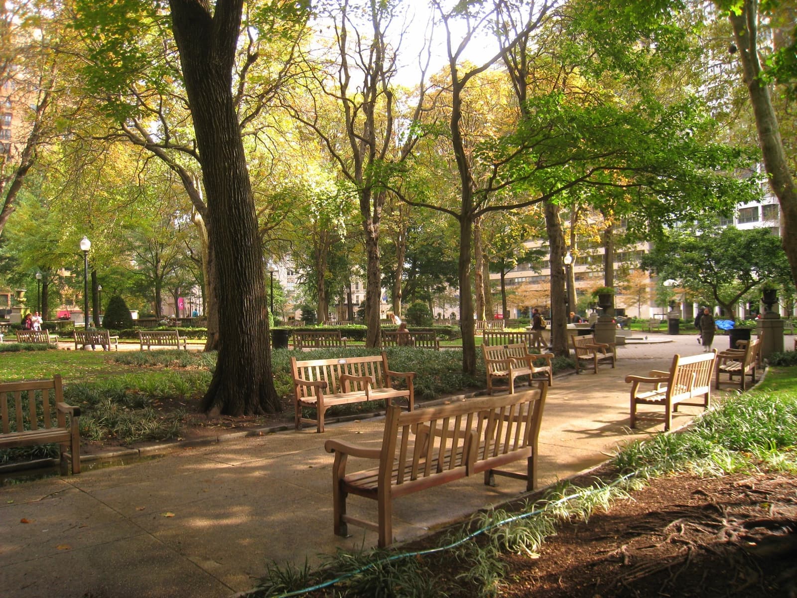 Benches and paths under tall trees in Rittenhouse Square