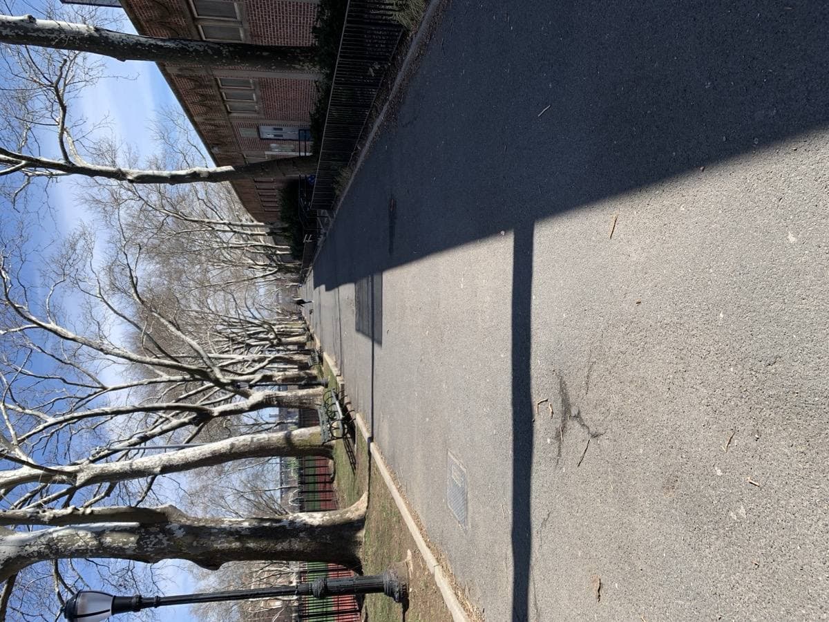 A park path between bare trees and playing fields