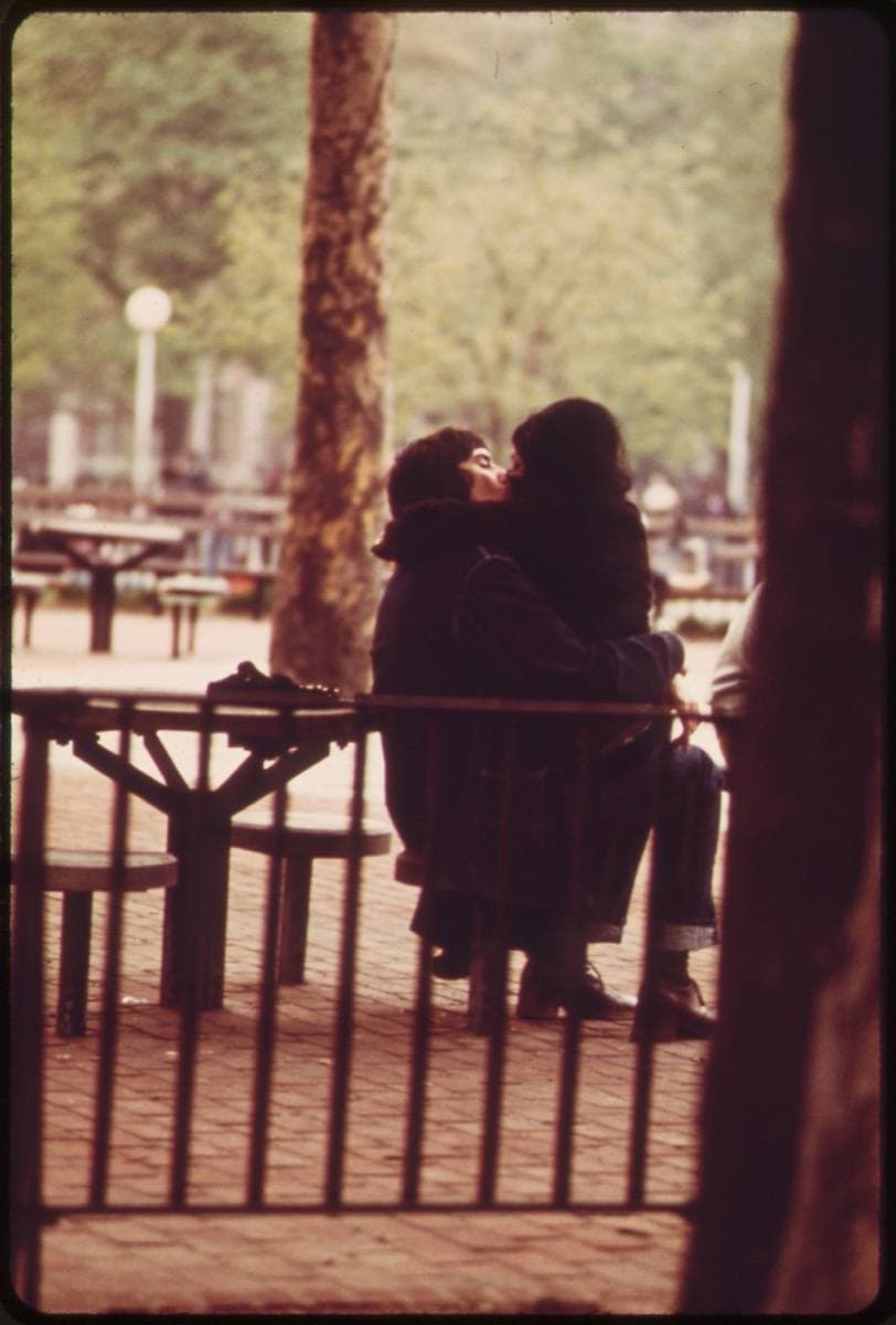 A couple embracing by railings under trees in a park