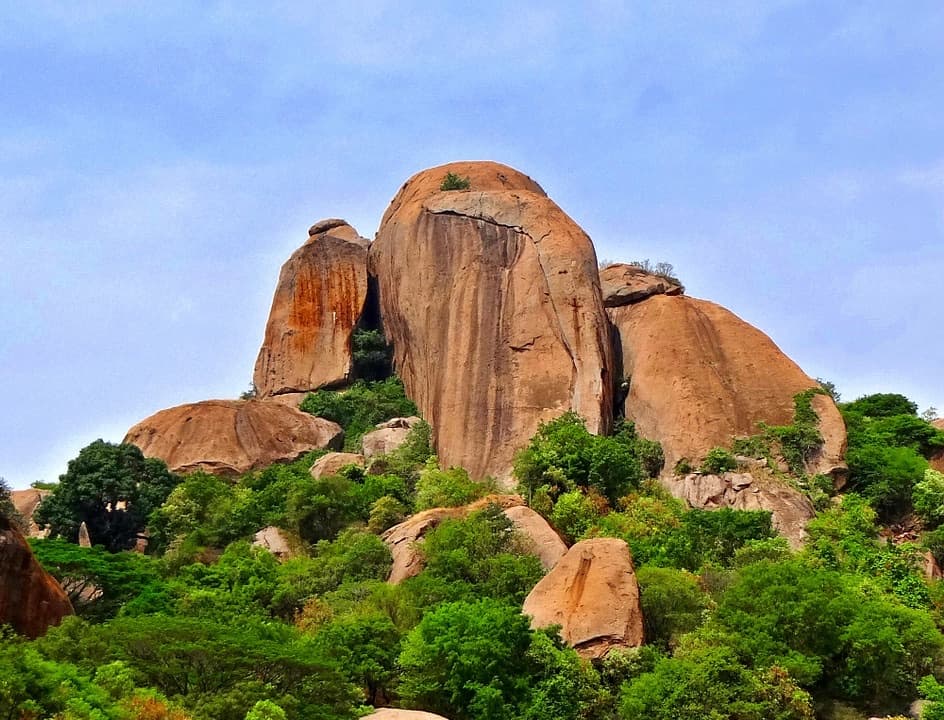 A bare granite hill rising above scrub and trees