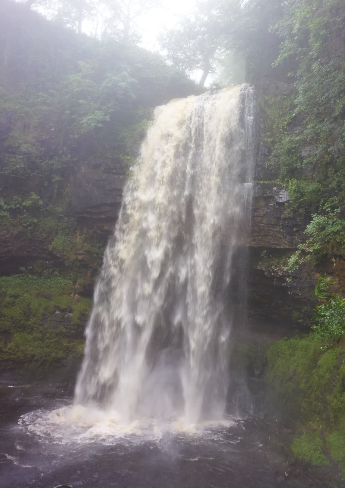 A tall thin waterfall dropping into a wooded gorge