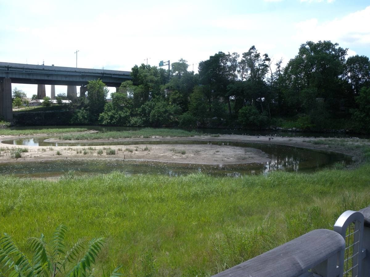 A salt-marsh inlet with grasses and trees, a bridge behind