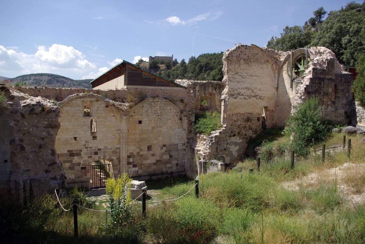 Roofless stone walls and arches of a ruined church among trees