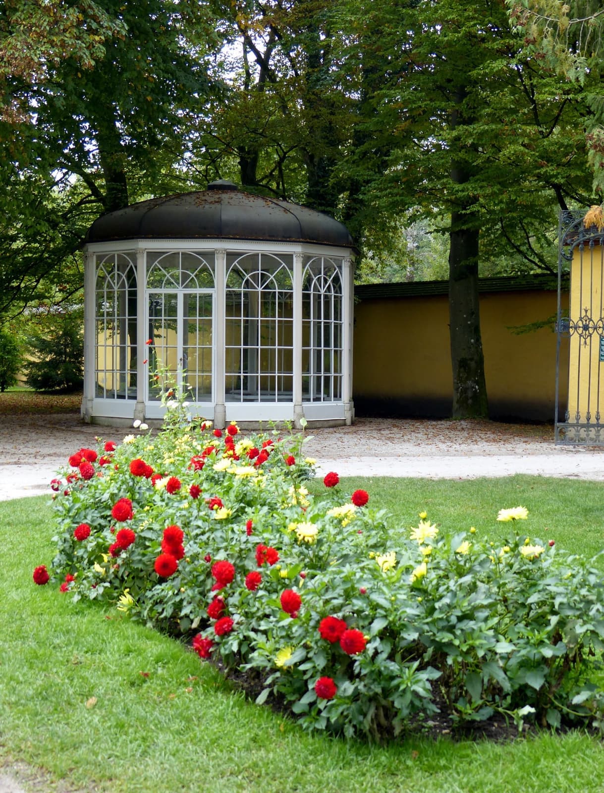 A white glass gazebo behind a bed of red and yellow dahlias