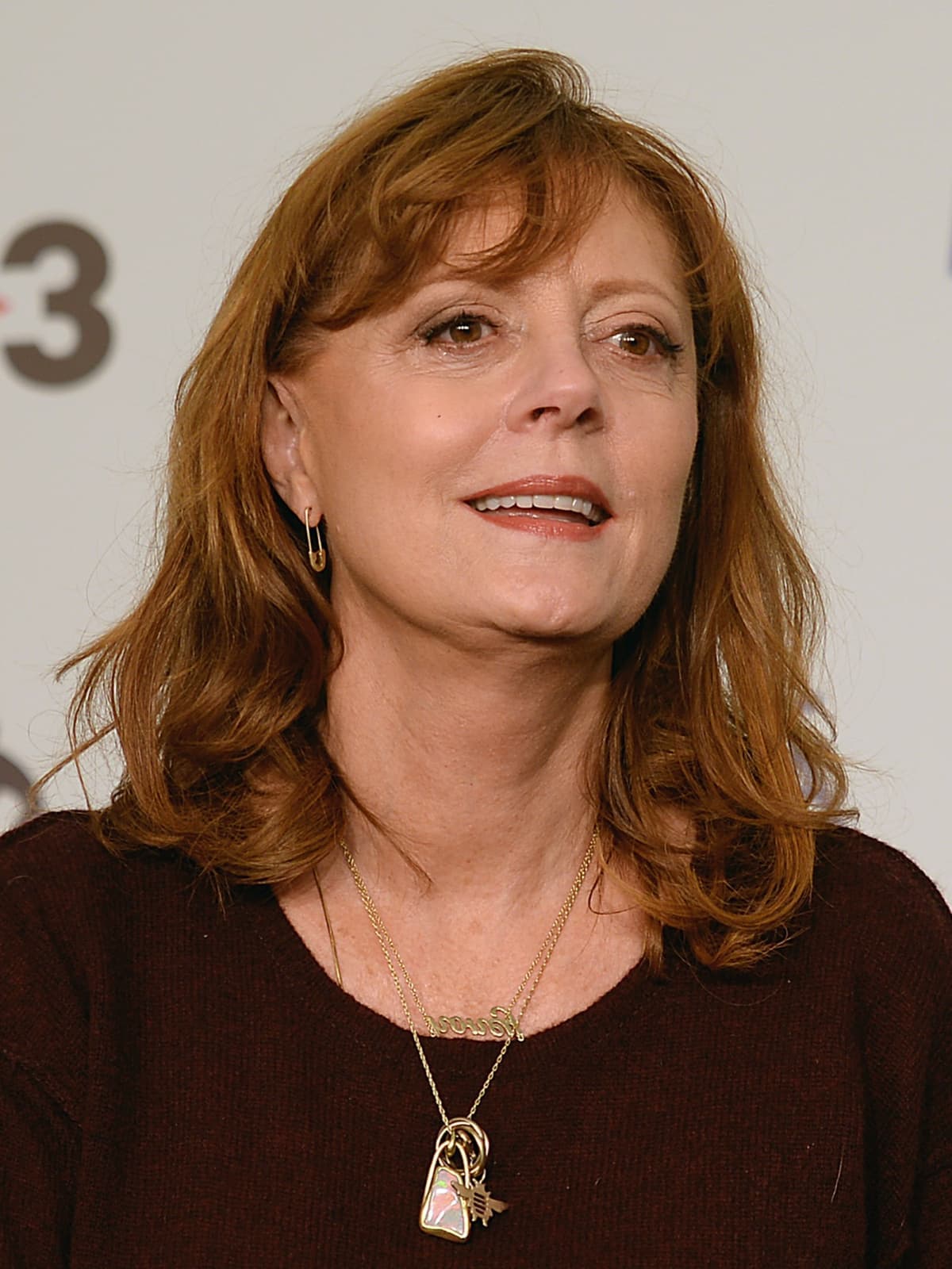 Susan Sarandon smiling, auburn hair loose, in a dark top and pendant