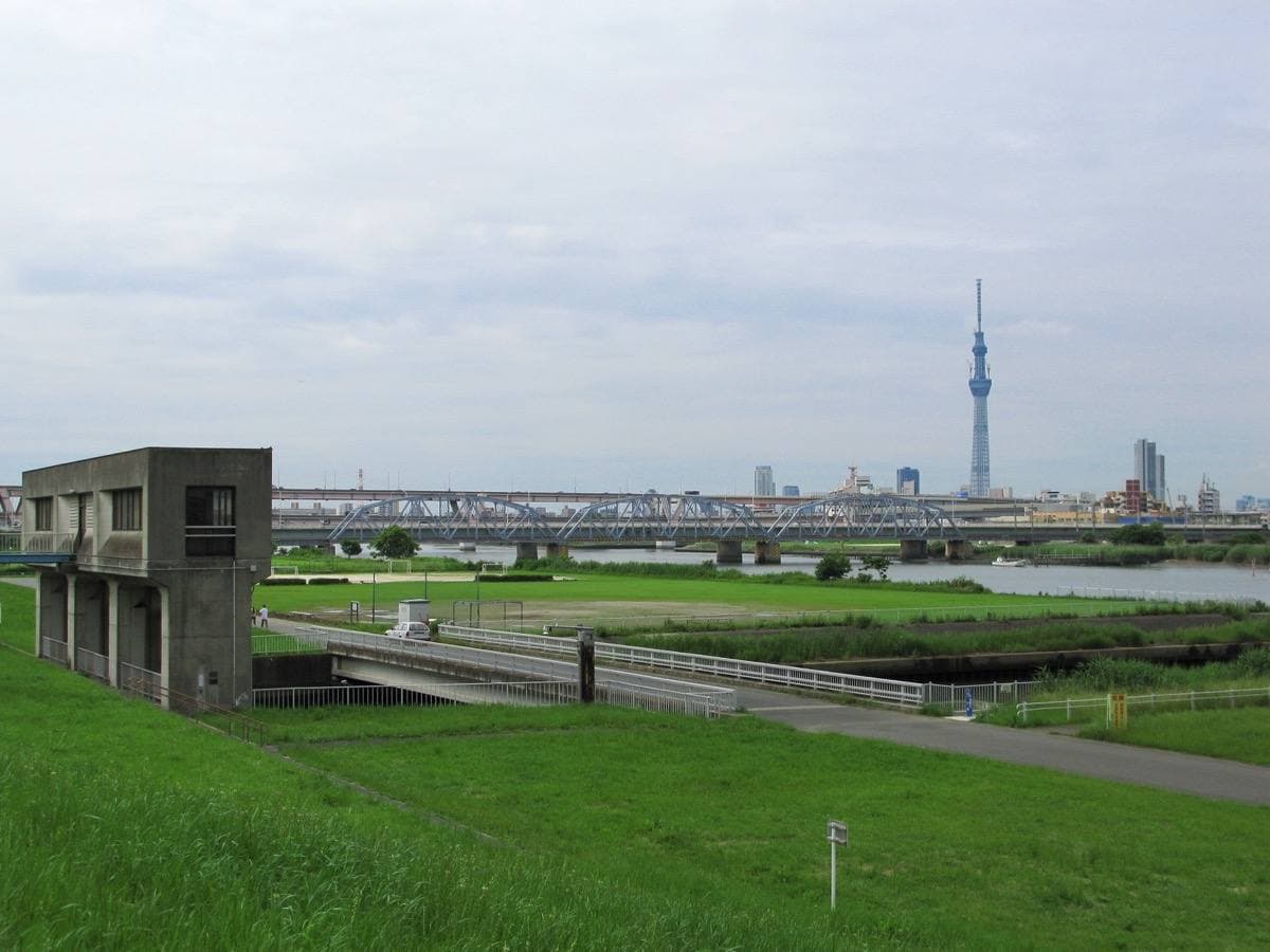 A grassy river embankment and a long railway bridge under a grey sky