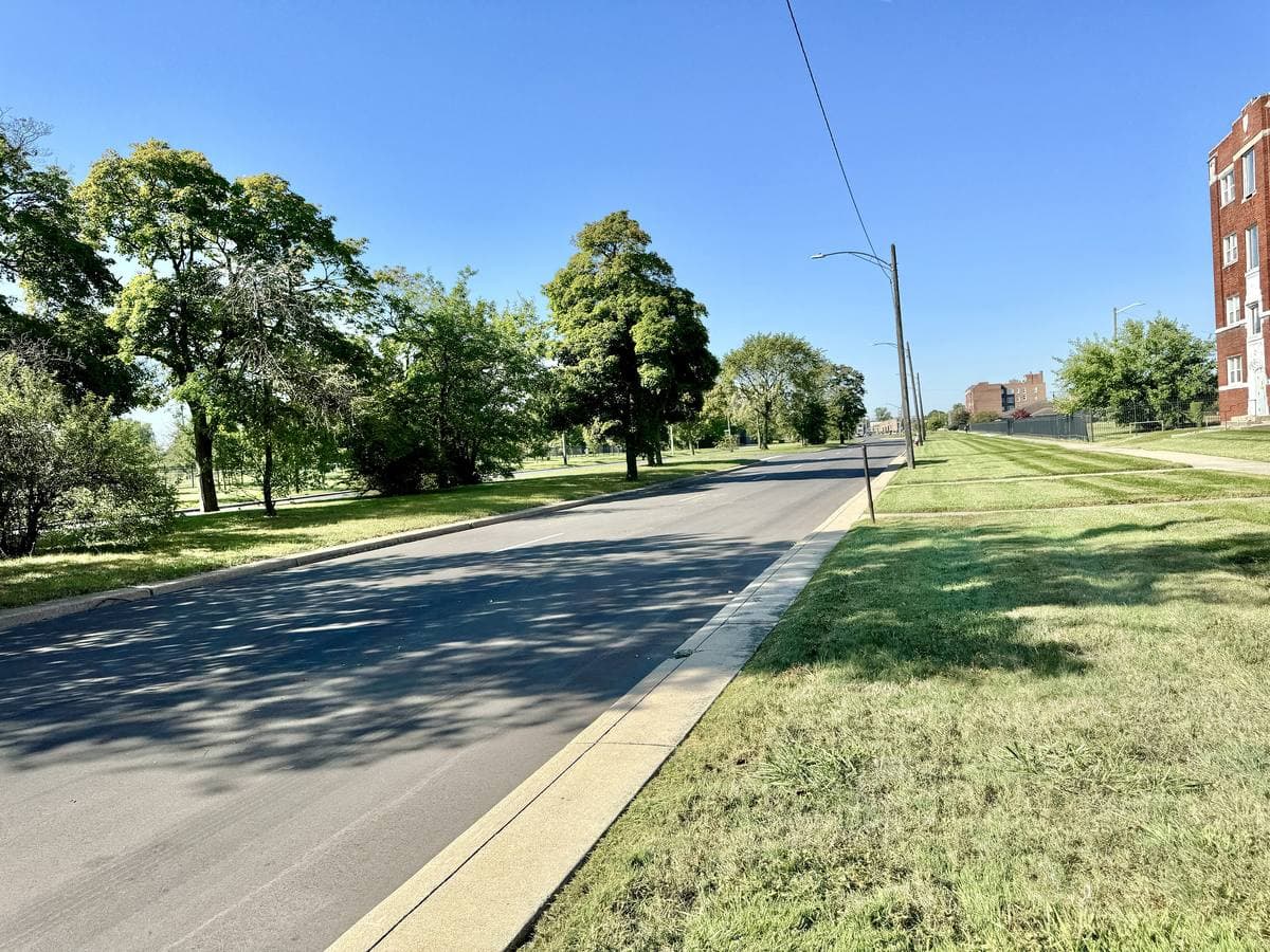 A wide tree-lined Detroit boulevard with grass verges under a clear sky