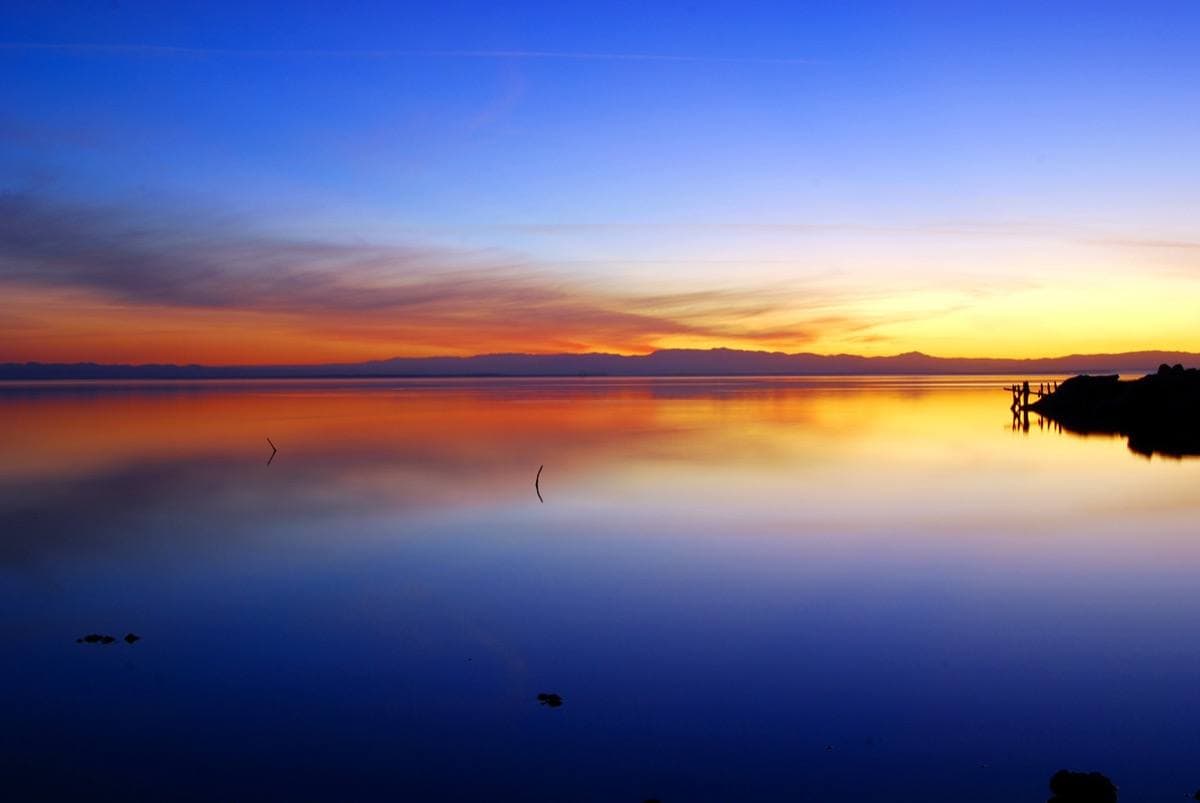 Low houses and power poles on the flat shore of the Salton Sea at sunset, 2009