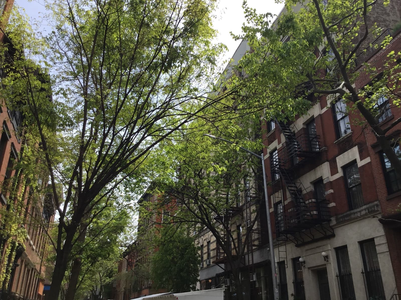 A tree-lined Village street of low brick buildings