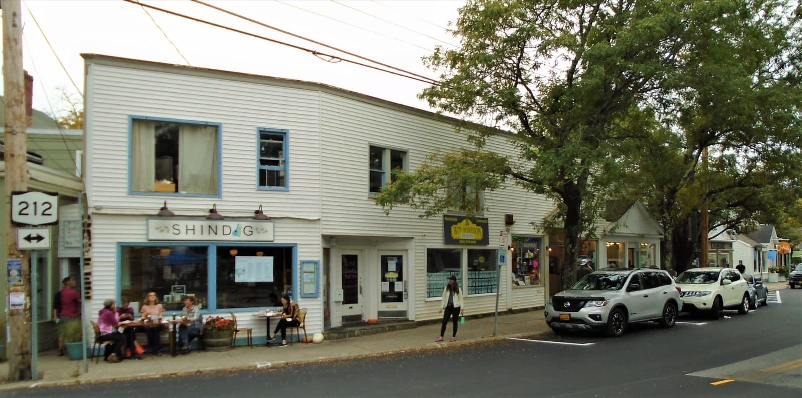 A small-town main street with shops and trees