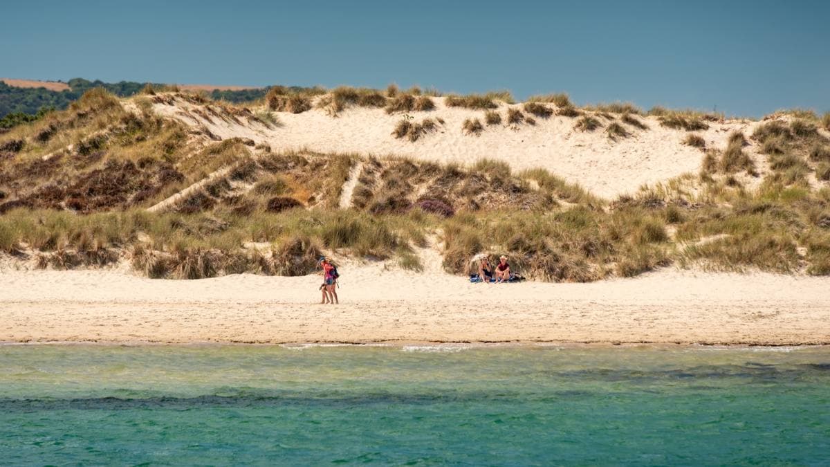 Pale sand and green water below a grassy dune