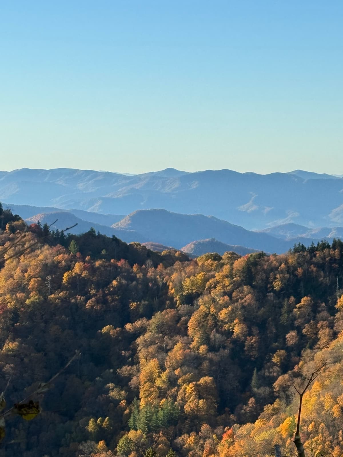 Autumn ridges fading into blue haze at Newfound Gap
