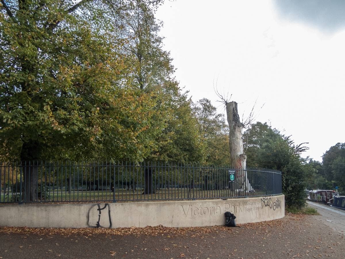 Wide lawns and tall autumn trees in a city park