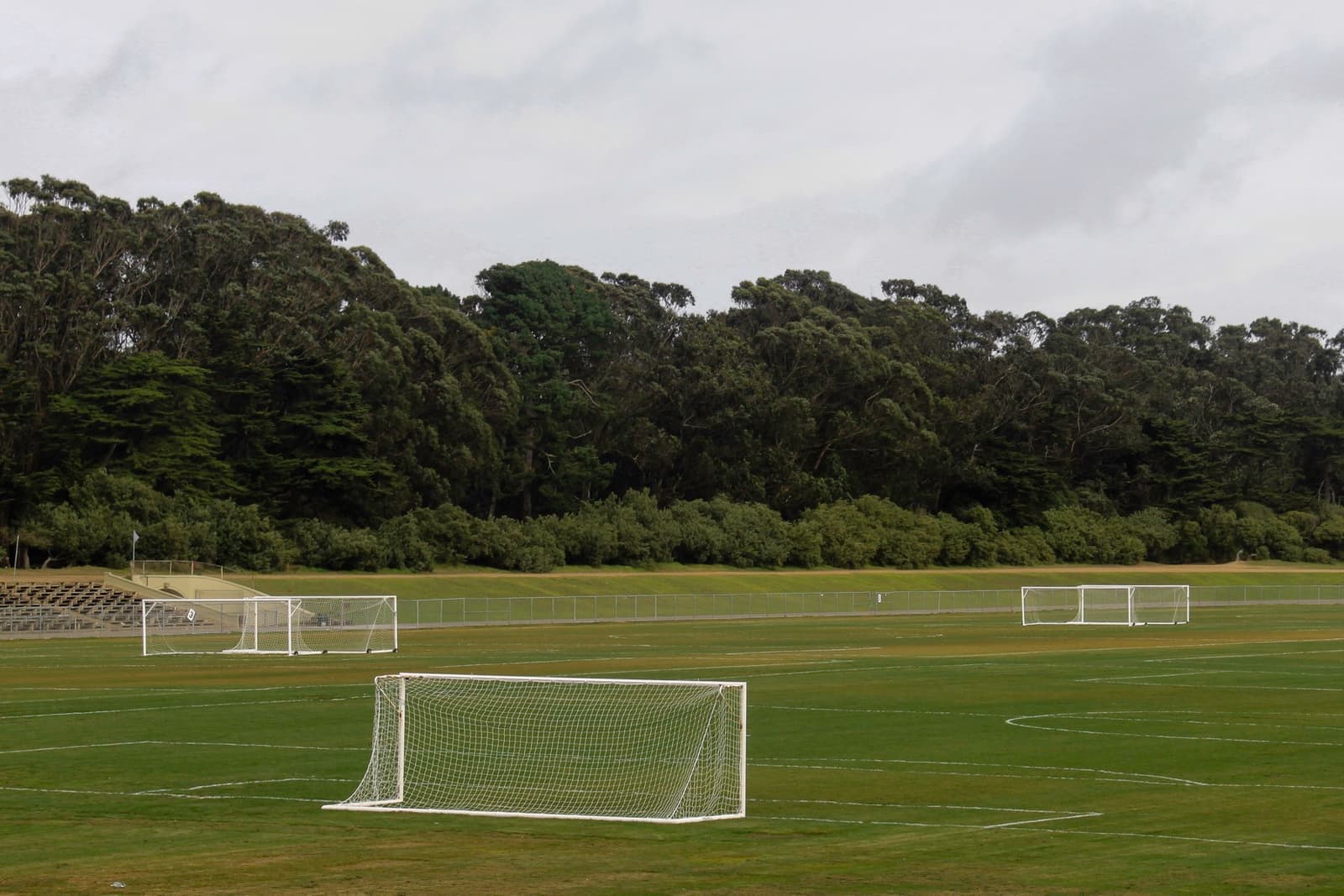 A wide green field ringed by tall trees, with football goals