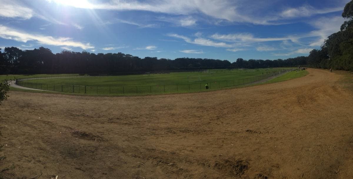 A wide grass field ringed by a dirt track and dark trees