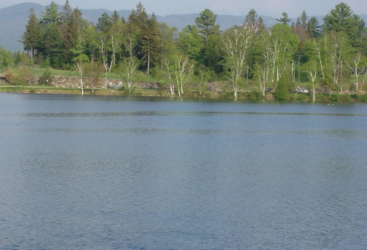 A lakeside village with wooded hills behind, across still water
