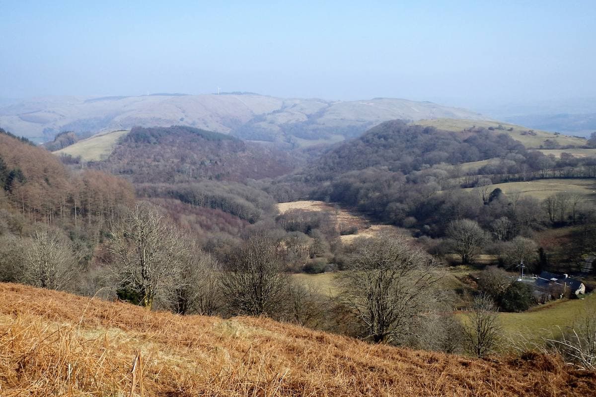 Bracken-covered hillside falling to a wooded valley under hazy hills