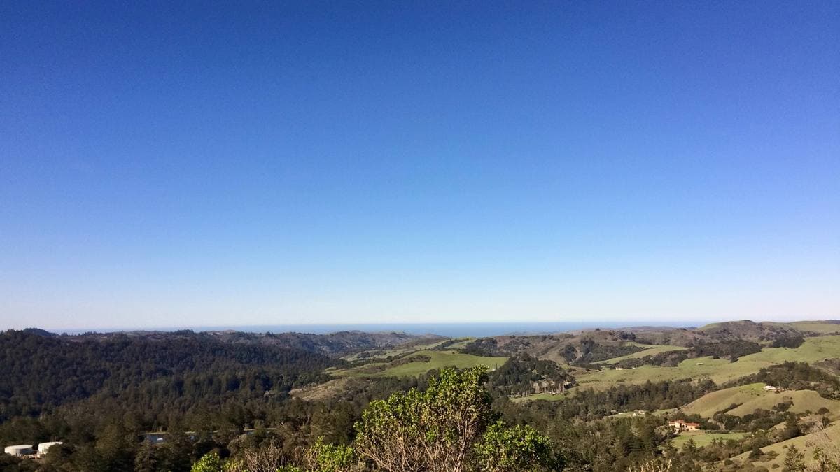 Rolling green and wooded hills under a clear blue sky with a thin line of ocean at the horizon
