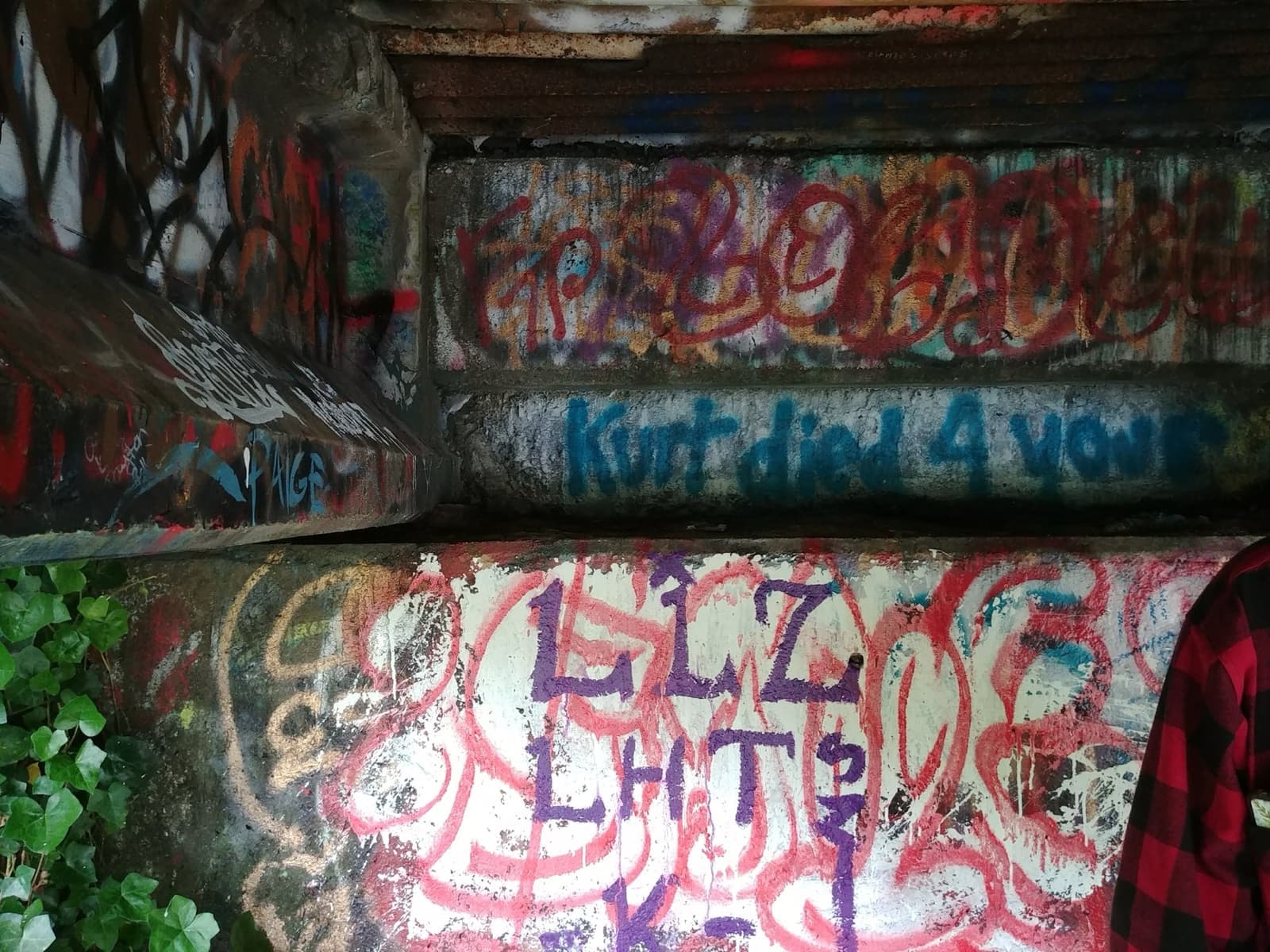 The underside of a concrete bridge above a muddy riverbank
