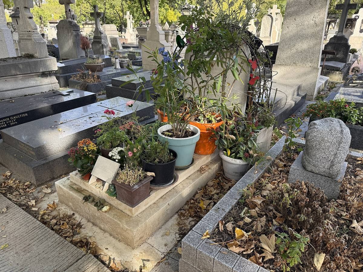 A grave planted with greenery and flowers among other tombs