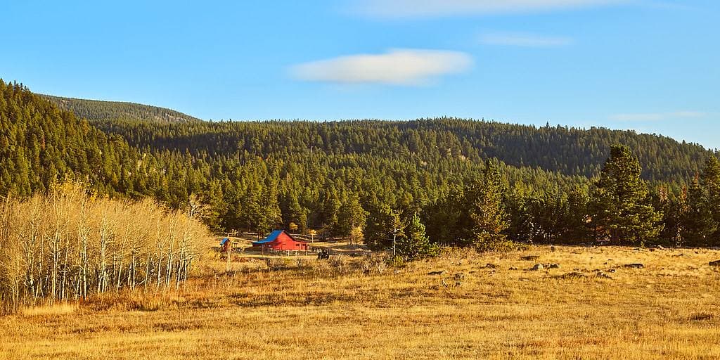 Old wooden ranch buildings in a mountain meadow