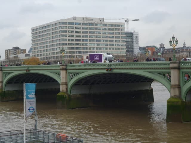 A white hospital block on the Thames bank beyond a green iron bridge