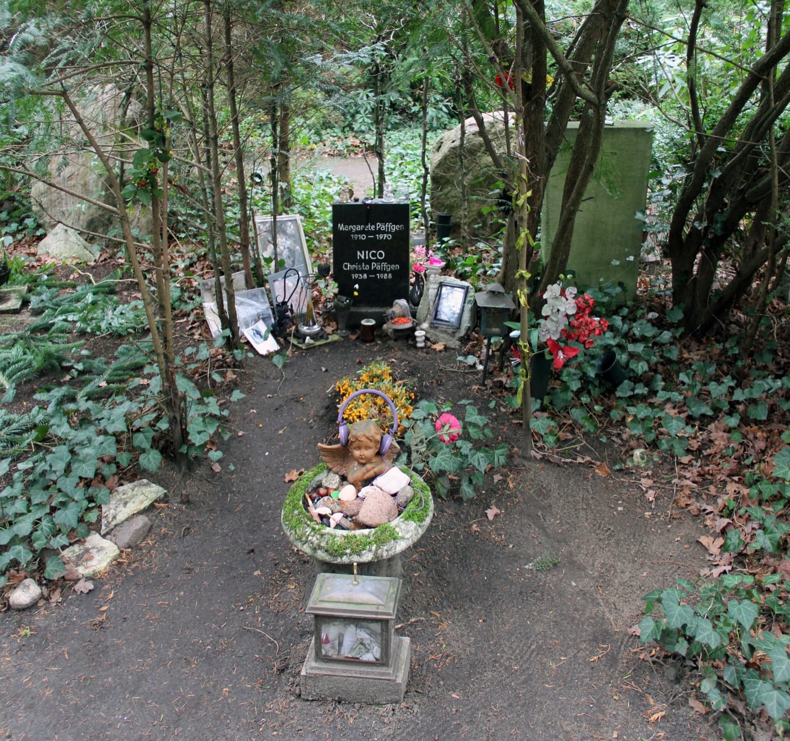 A small dark headstone among ivy and trees in a woodland cemetery