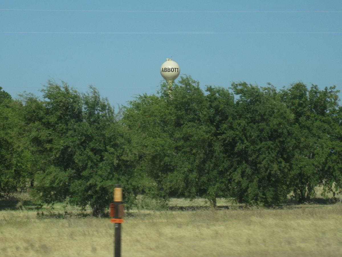 A line of trees beside a grass field, with a water tower showing above them