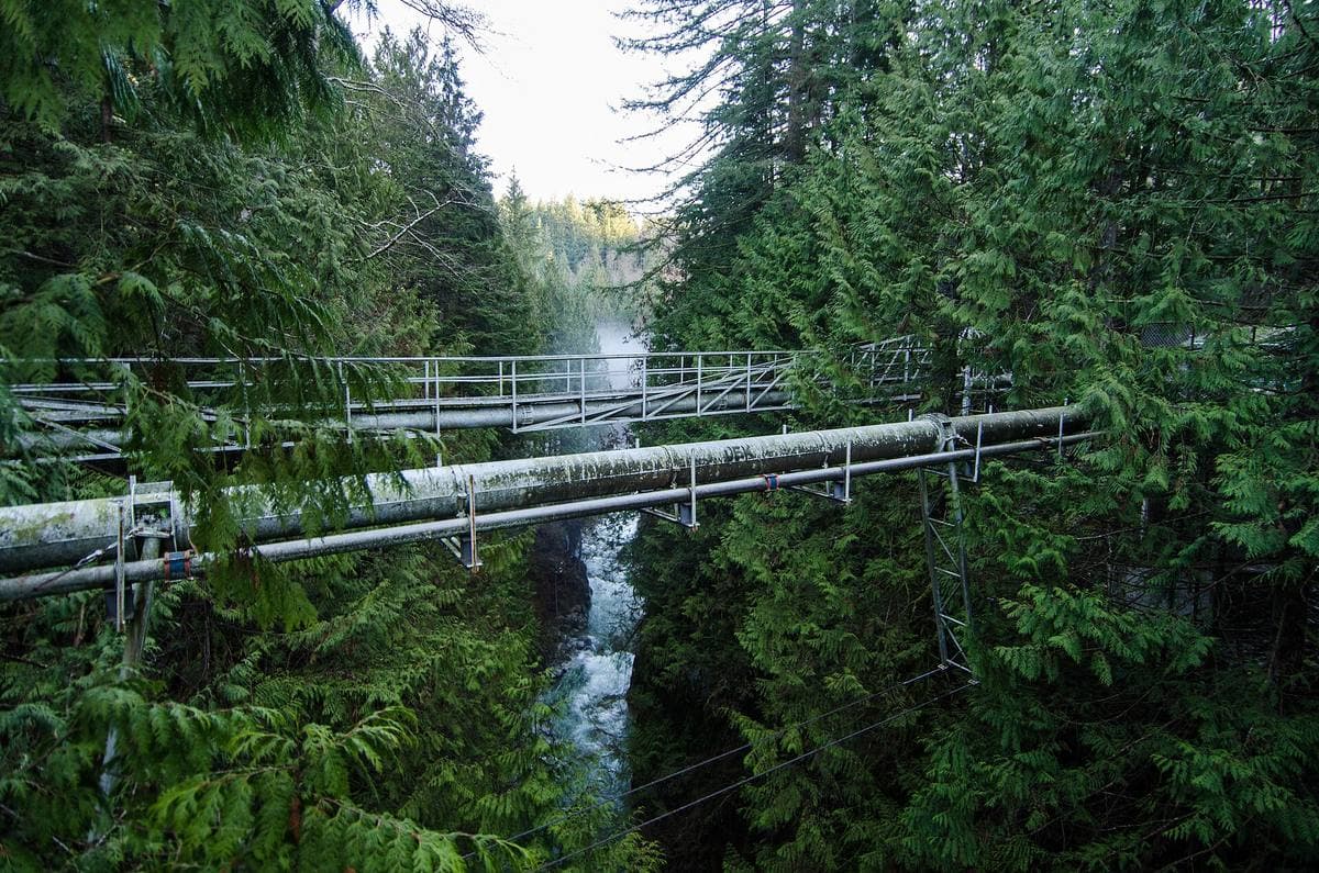 A narrow footbridge over a creek in a rainforest canyon