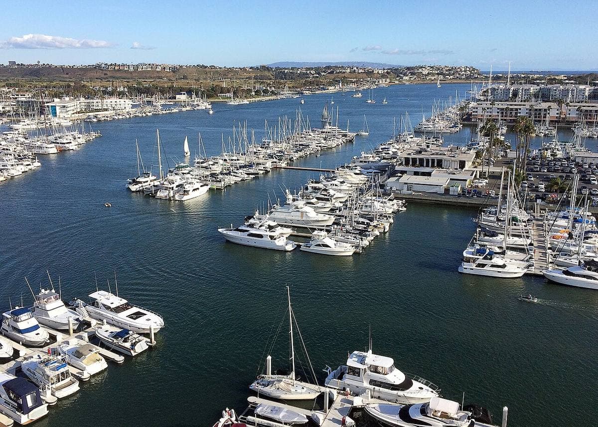 Rows of moored yachts in a large harbour