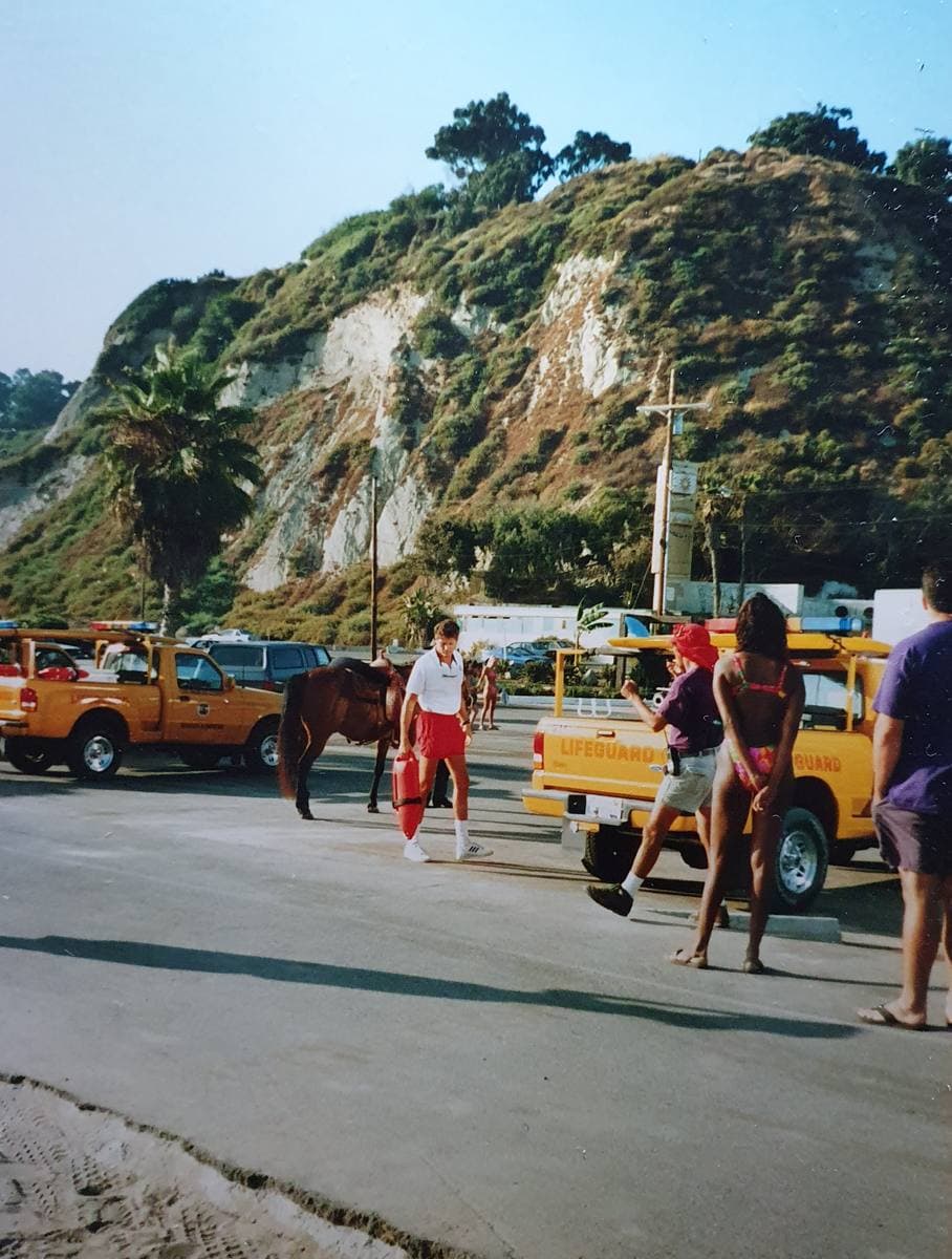 A beach car park under green bluffs, with yellow lifeguard trucks, a man in red shorts and a horse