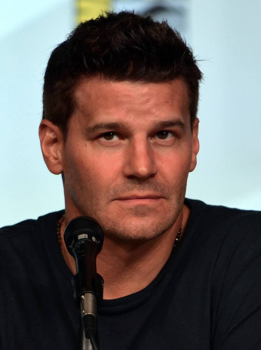 A dark-haired man in a jacket at a convention panel