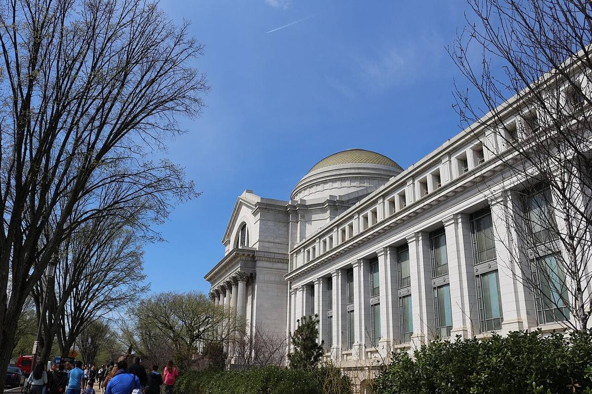 A grand domed museum with columns behind a lawn