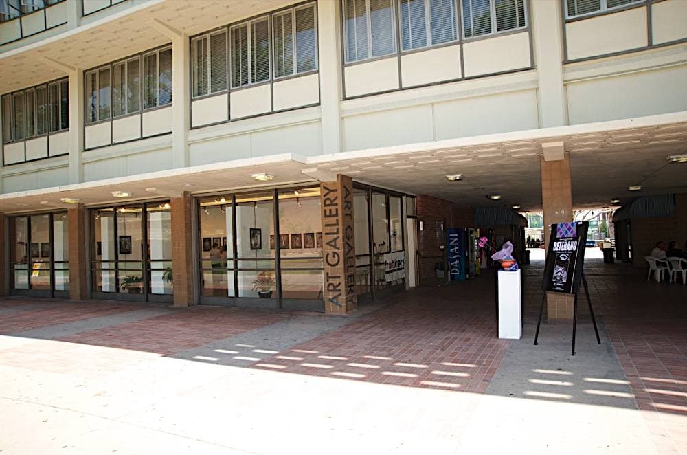 A pale college building with tall windows and trees on a sunny campus