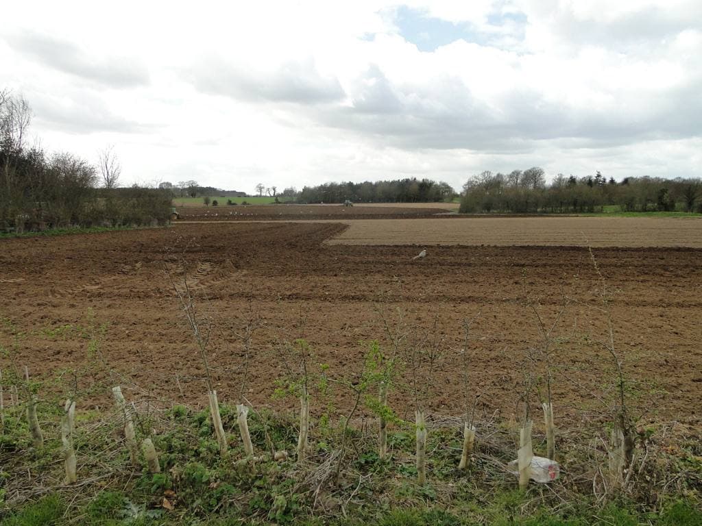 A wide ploughed field under a cloudy sky with woodland on the horizon