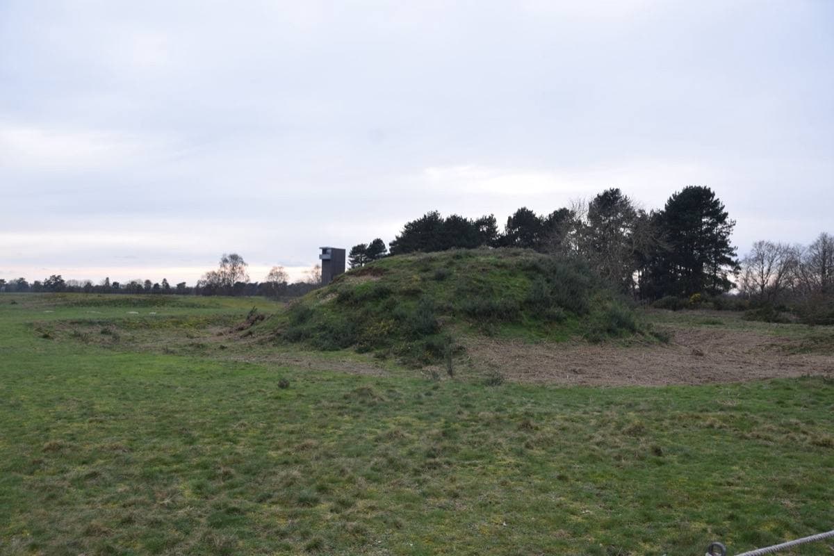 A low grassy mound on open heath under a pale sky