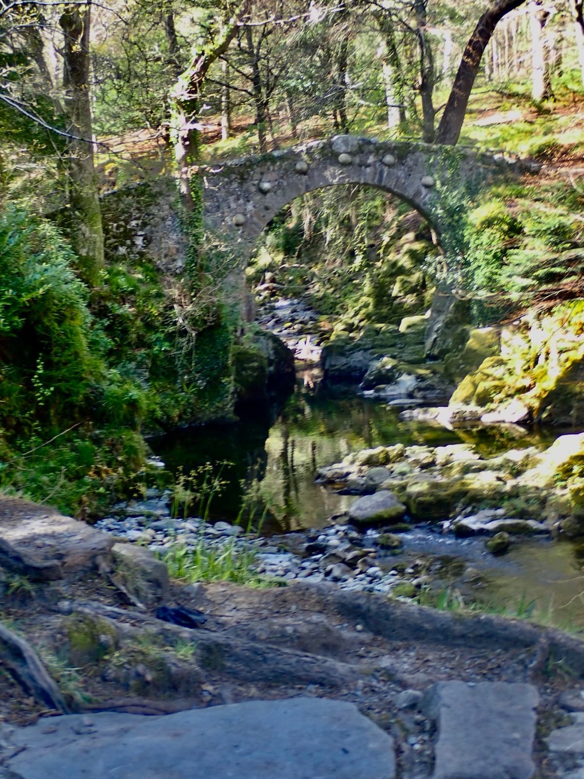 A stone bridge over a river in woodland