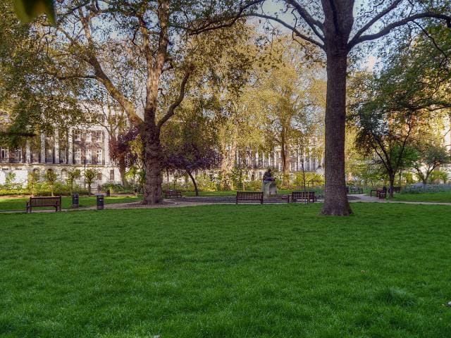A London garden square with lawns and plane trees