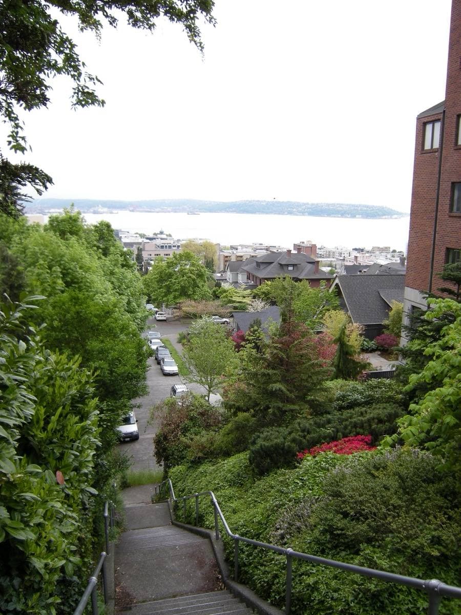 A leafy Queen Anne street corner with a view down the hill