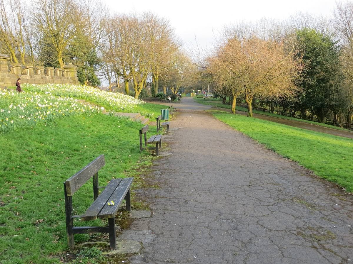 A tarmac path with benches between lawns and bare trees