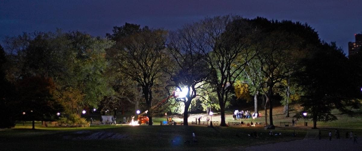 Film lights glowing among dark trees in a park at night