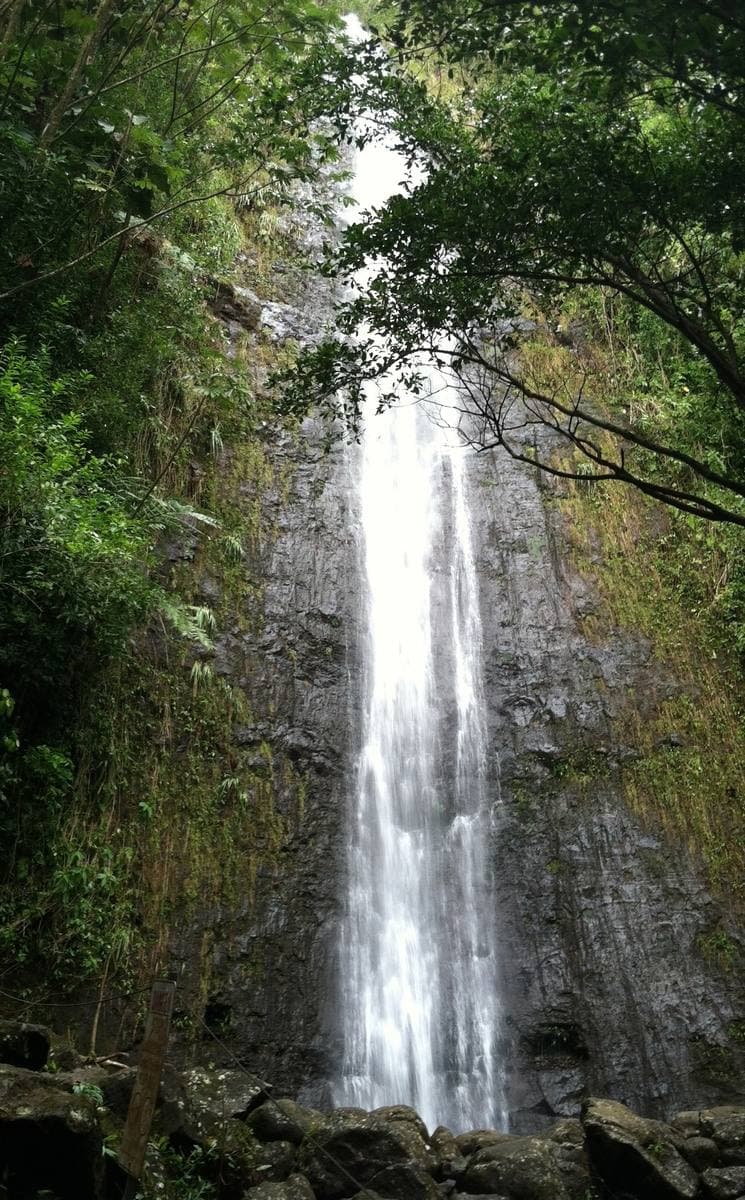 A tall thin waterfall falling down a dark wet rock face in rainforest