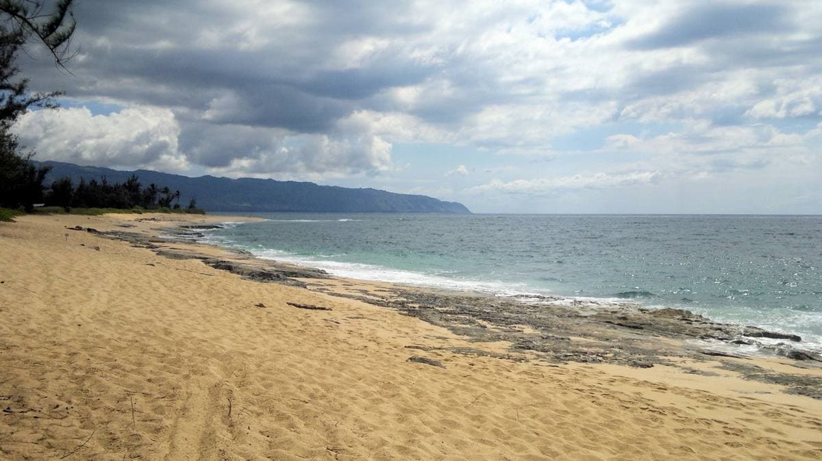 A sandy cove edged with low black reef, the coast curving away to a far headland