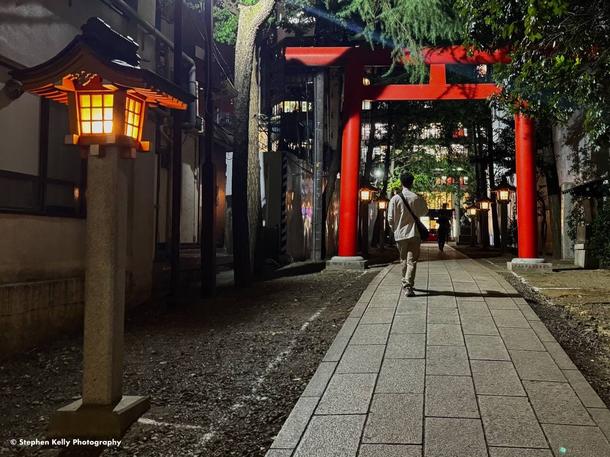 A stone path under a red torii at night, with a lit stone lantern on the left