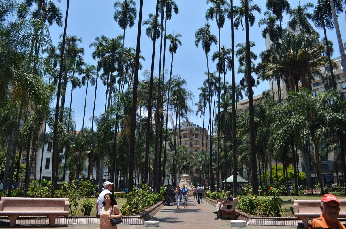 A city square with tall palms and a monument in front of older buildings