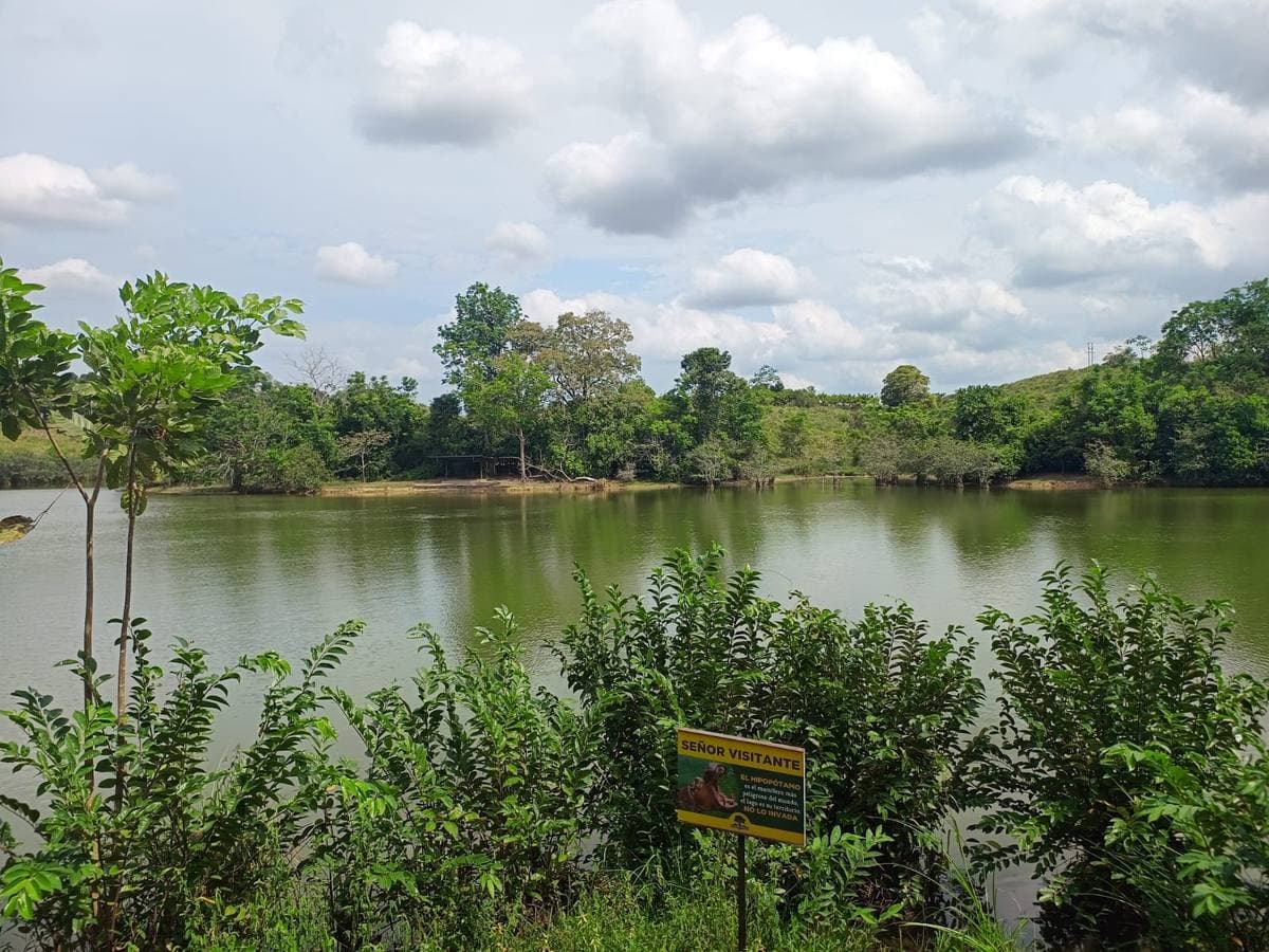 A calm lake fringed with tropical trees under a cloudy sky