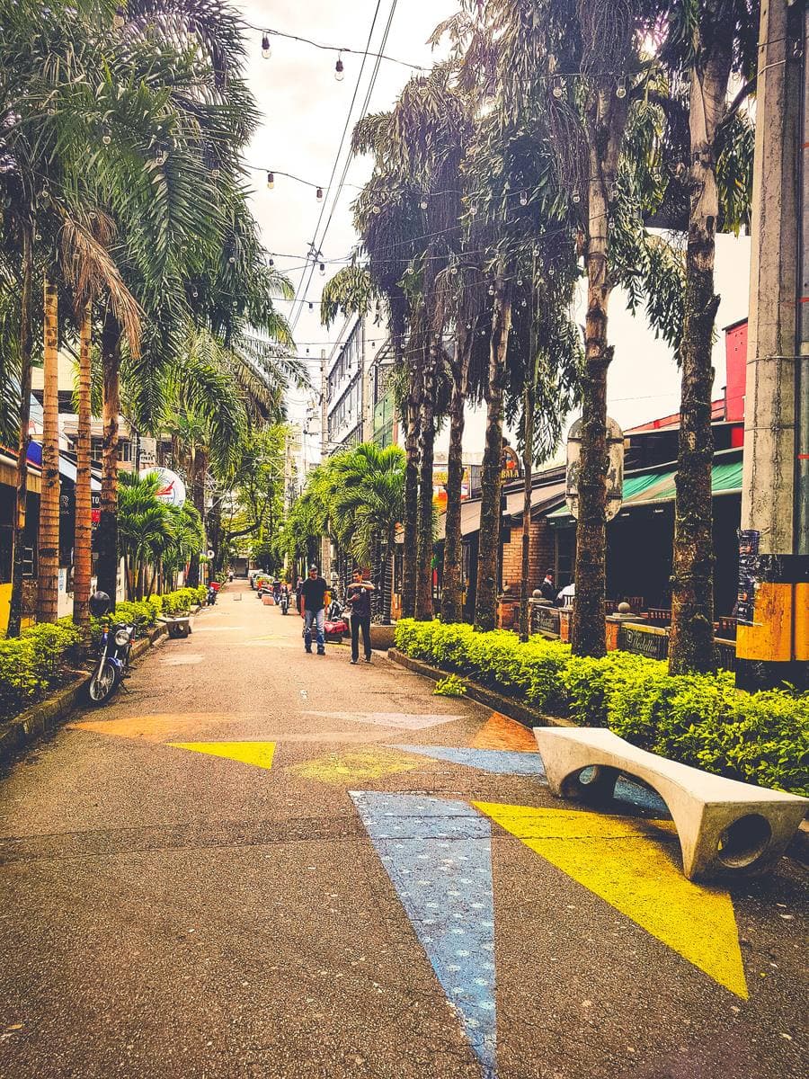 A palm-lined walkway with painted paving in El Poblado, Medellín